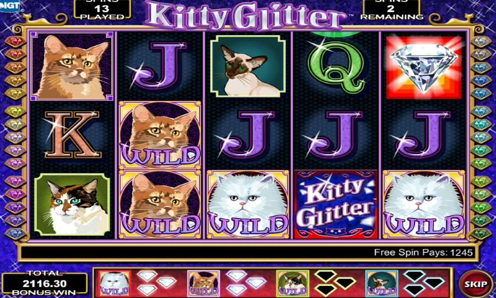 Kitty