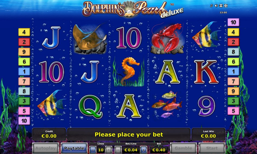 Free dolphin games Free dolphin games