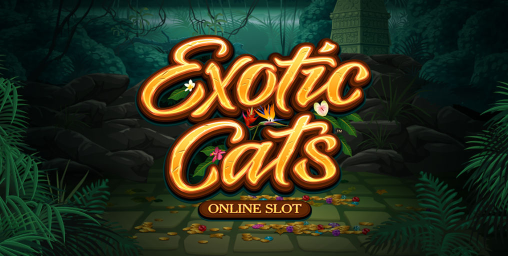 Exotic Cats slot review